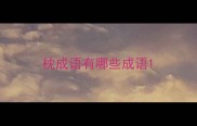 枕成语有哪些成语