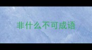 非什么不可成语