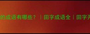 田在第二个字的成语有哪些田字成语全田字开头的成语推荐
