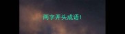 两字开头成语
