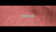 含慧的成语