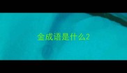 金成语是什么
