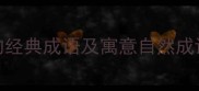 10个与草地相关的经典成语及寓意自然成语背后的智慧故事