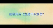 成语药店飞龙是什么意思