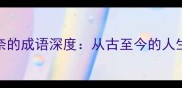 10个形容人生无奈的成语深度从古至今的人生智慧与情感共鸣
