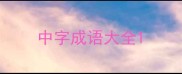 中字成语大全