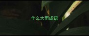 什么大雨成语