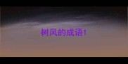 树风的成语