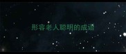 形容老人聪明的成语