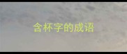 含杯字的成语