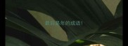 最后是年的成语