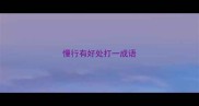 慢行有好处打一成语