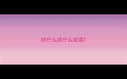结什么成什么成语