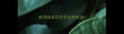 成语接龙目字开头的成语