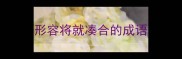 形容将就凑合的成语