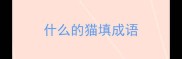什么的猫填成语