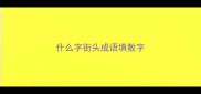 什么字街头成语填数字