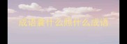 成语囊什么照什么成语