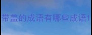 带盖的成语有哪些成语