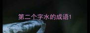 第二个字水的成语