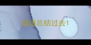 成语总结过去
