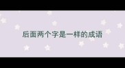 后面两个字是一样的成语
