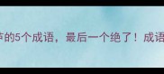 趣味带葫芦的5个成语最后一个绝了成语文化冷知识