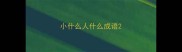 小什么人什么成语