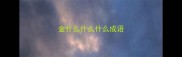 金什么什么什么成语