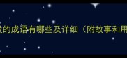 带心投的成语有哪些及详细附故事和用法