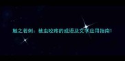 触之若刺被虫咬疼的成语及文学应用指南