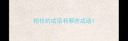 粗枝的成语有哪些成语