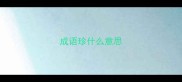 成语珍什么意思