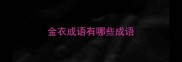 金衣成语有哪些成语