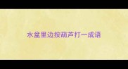 水盆里边按葫芦打一成语