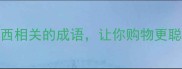 10个与买东西相关的成语让你购物更聪明生活妙用篇