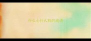 什么心什么料的成语