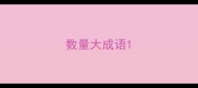 数量大成语