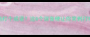 把鸡打个成语这8个谐音梗让你笑到打鸣