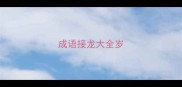 成语接龙大全岁