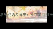 跚开头常见成语及详细从字义到用法全攻略