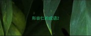 形容仁的成语