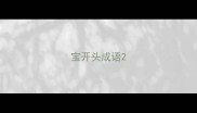 宝开头成语