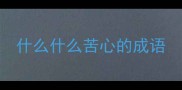 什么什么苦心的成语