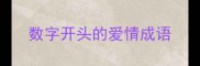 数字开头的爱情成语