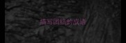 描写团结的成语