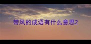 带风的成语有什么意思