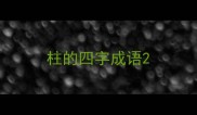 柱的四字成语