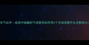 非气自华成语中暗藏的气场密码如何用3个字成语提升社交影响力