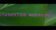 10个必学的天下成语看完秒变社交达人
